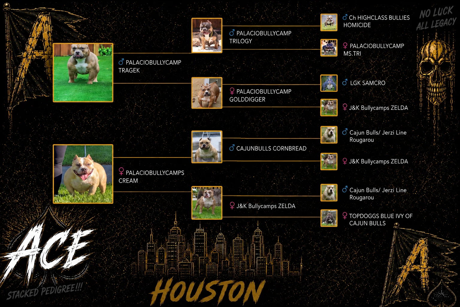 ACE pedigree graphic showing stacked lineage from JT's Next Level Bullyz